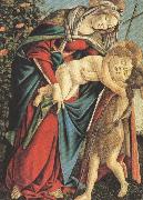 Sandro Botticelli Madonna and Child with the Young St john or Madonna of the Rose Garden (mk36) oil painting